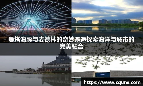 MILE米乐官网曼塔海豚与麦德林的奇妙邂逅探索海洋与城市的完美融合